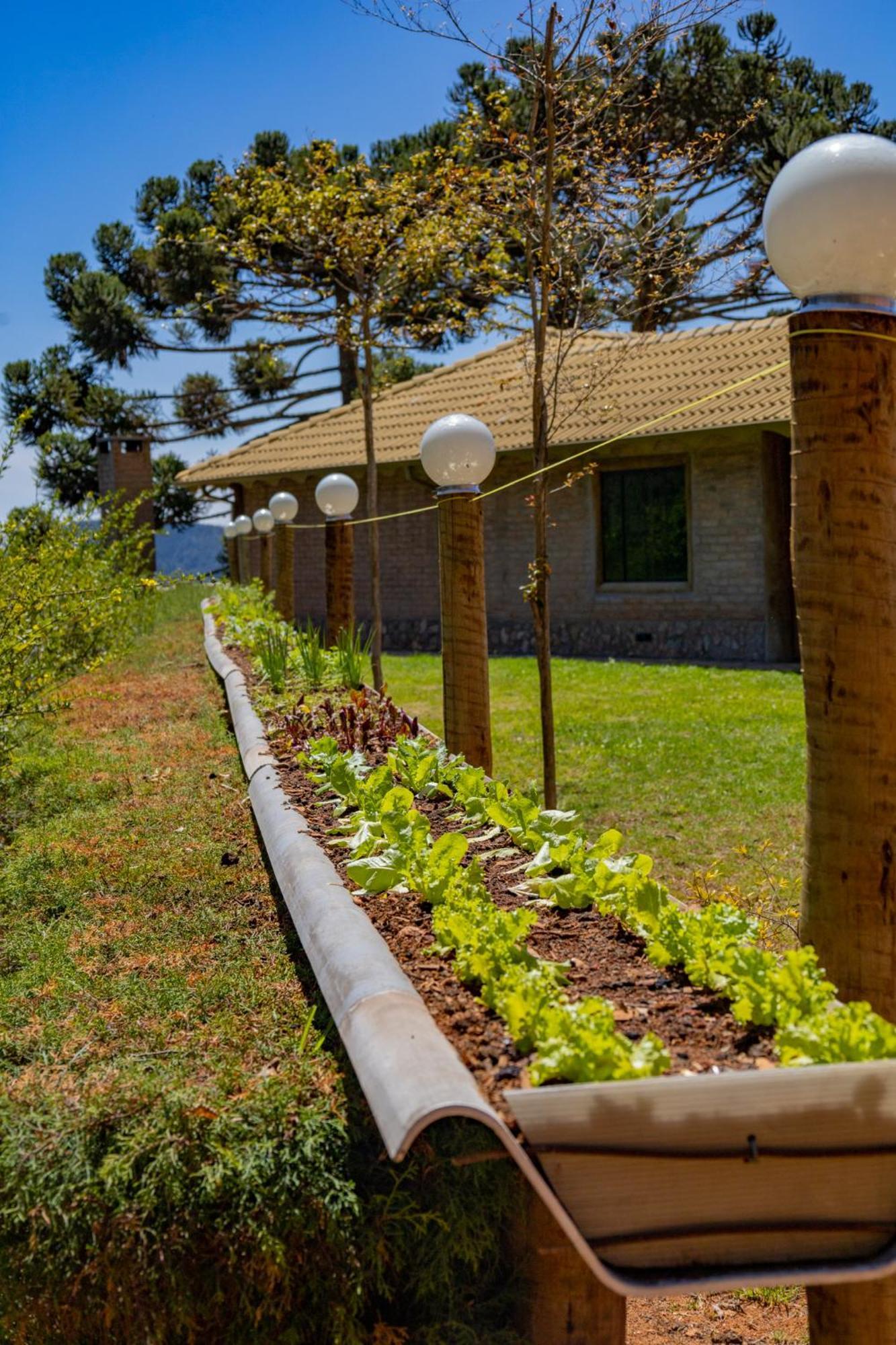 Casa Mundo Verde - Serra Da Mantiqueira Camanducaia Exteriör bild